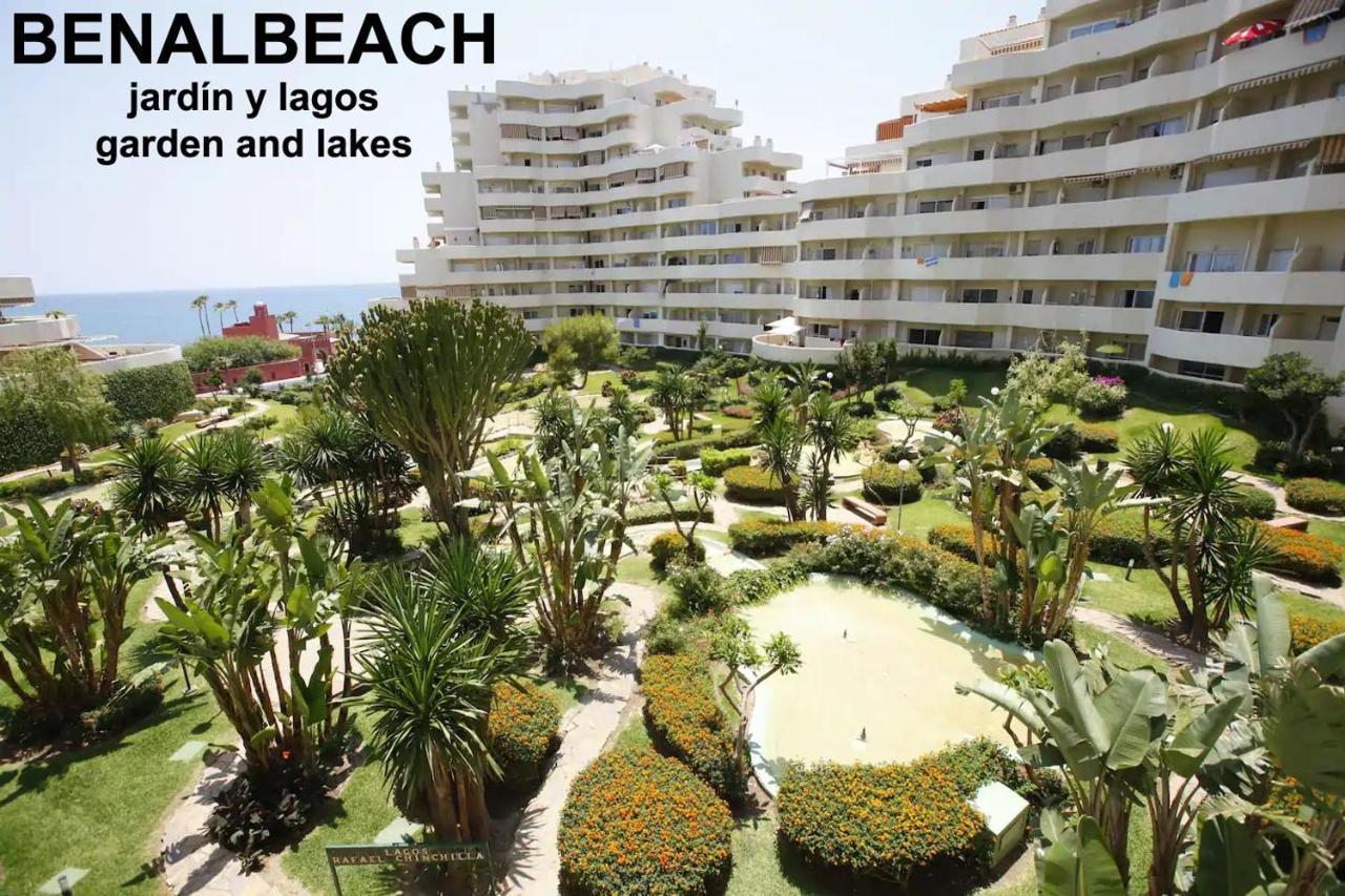Estudio Benalbeach Primera Linea De Playa بينالماذينا المظهر الخارجي الصورة